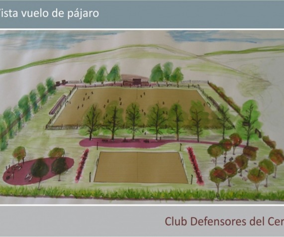 Club Defensores del Cerro